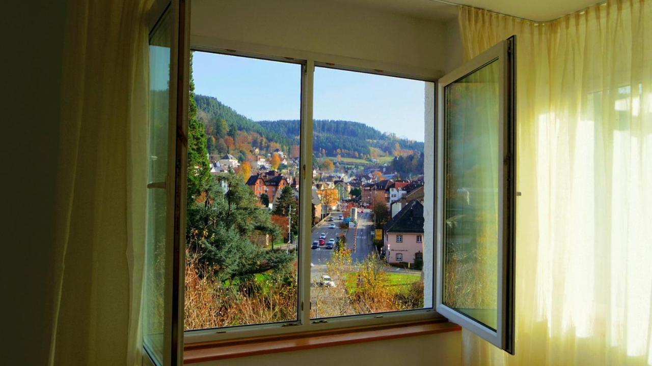 Villa Fink Schramberg Zewnętrze zdjęcie
