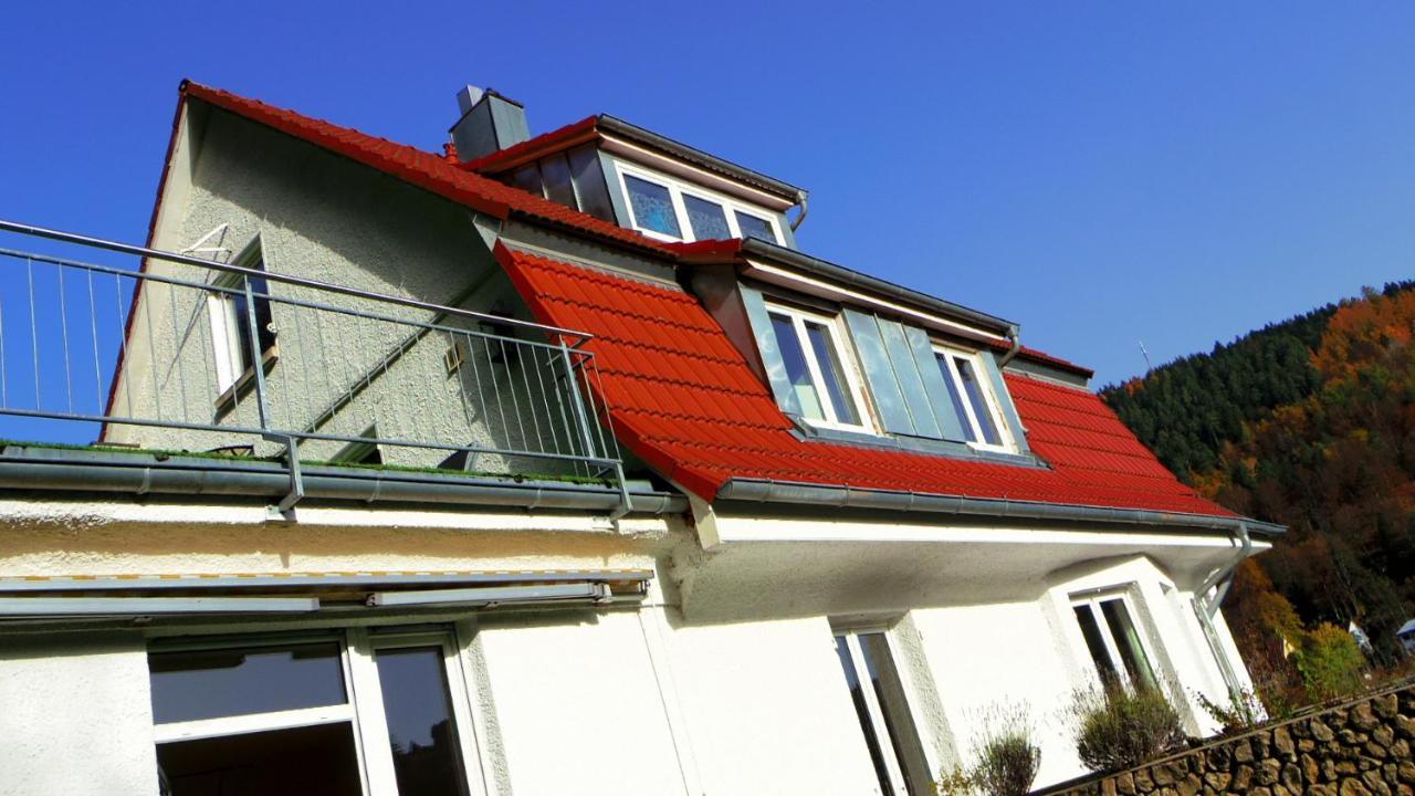 Villa Fink Schramberg Zewnętrze zdjęcie