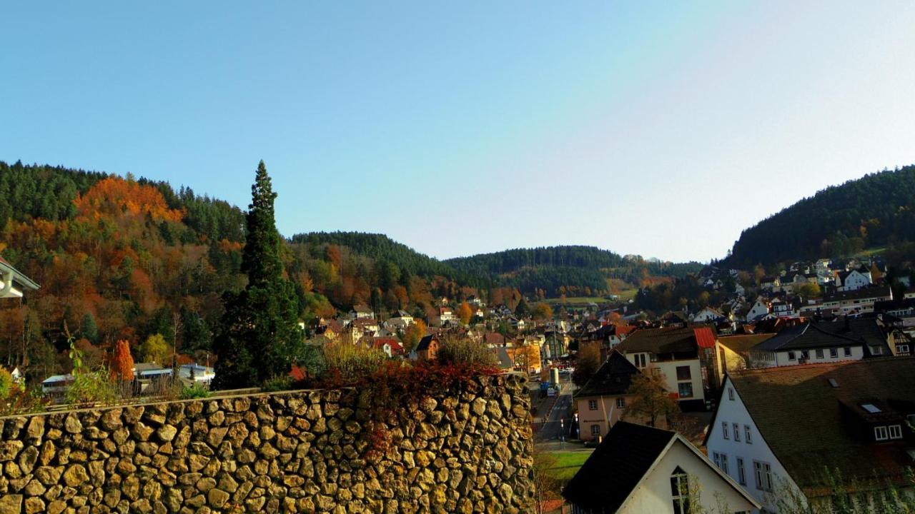 Villa Fink Schramberg Zewnętrze zdjęcie