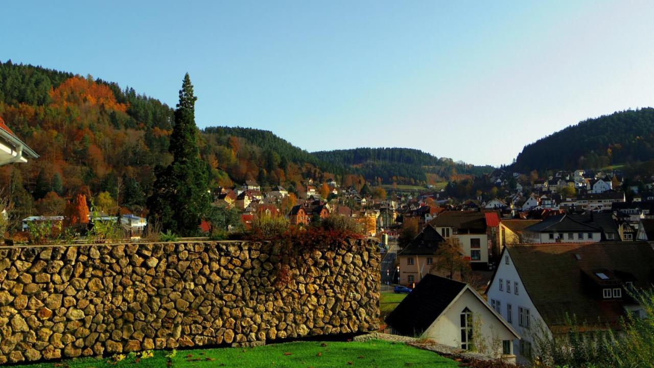 Villa Fink Schramberg Zewnętrze zdjęcie