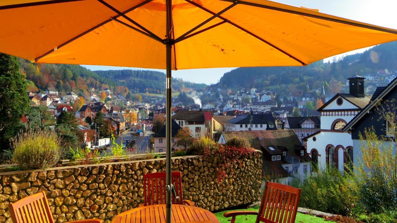 Villa Fink Schramberg Zewnętrze zdjęcie