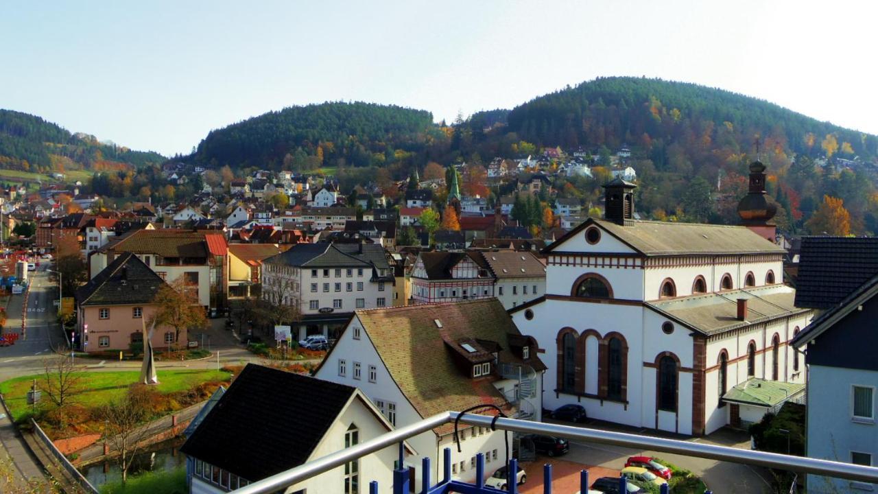 Villa Fink Schramberg Zewnętrze zdjęcie
