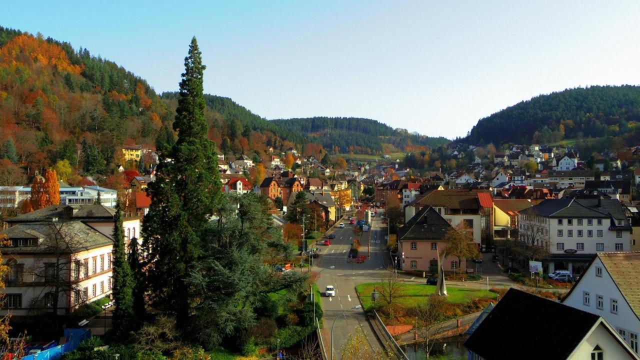 Villa Fink Schramberg Zewnętrze zdjęcie