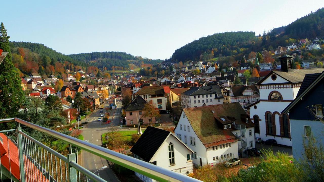 Villa Fink Schramberg Zewnętrze zdjęcie