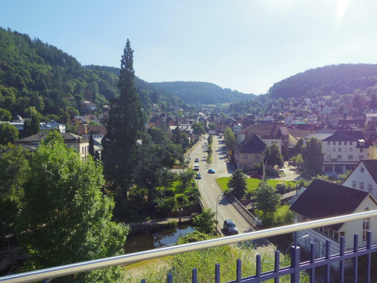 Villa Fink Schramberg Zewnętrze zdjęcie